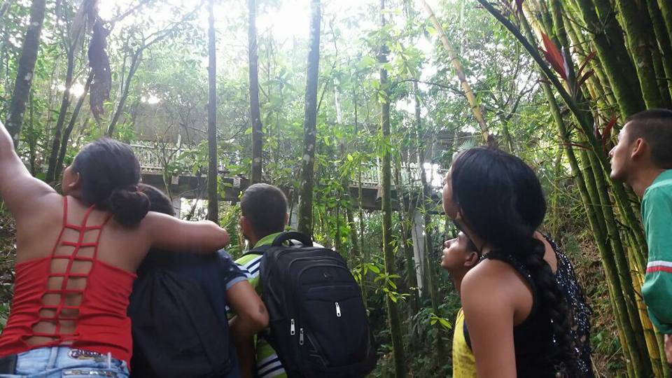 CREACI�N DE CLUB DE AVISTAMIENTO DE AVES AFICIONADOS