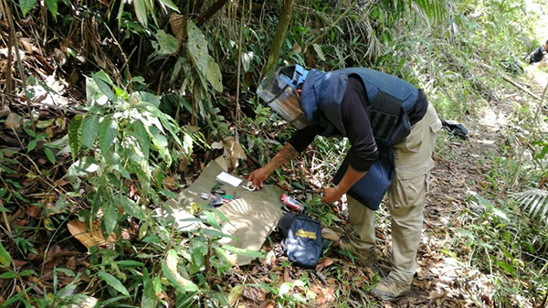 DEMINADO EN CALDAS: 11 MIL 27 METROS CUADRADOS DESPEJADOS