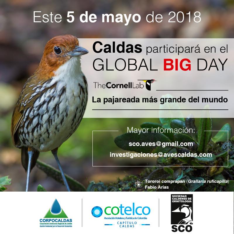 EL PR�XIMO 5 DE MAYO, CALDAS PARTICIPAR� EN EL GLOBAL BIG DAY