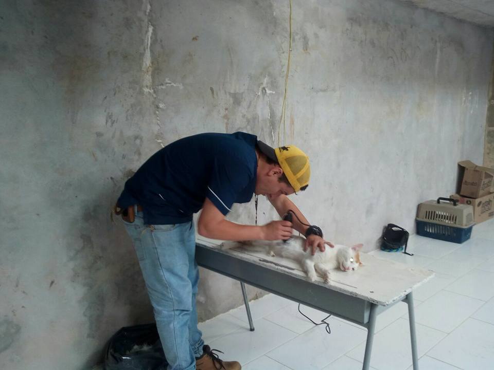 EXITOSA JORNADA DE ESTERILIZACI�N GATUNA.