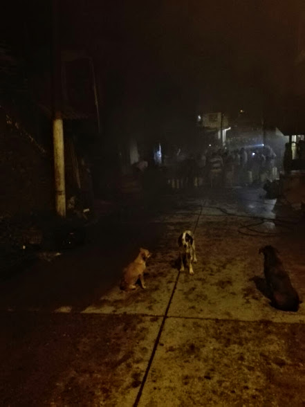INCENDIO LOCAL MAS GRANDE DE SAN DIEGO CORREGIMIENTO DE SAMANA