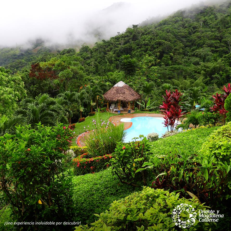 SELVA DE FLORENCIA DENTRO DEL CORREDOR TUR�STICO CENTRAL DE COLOMBIA