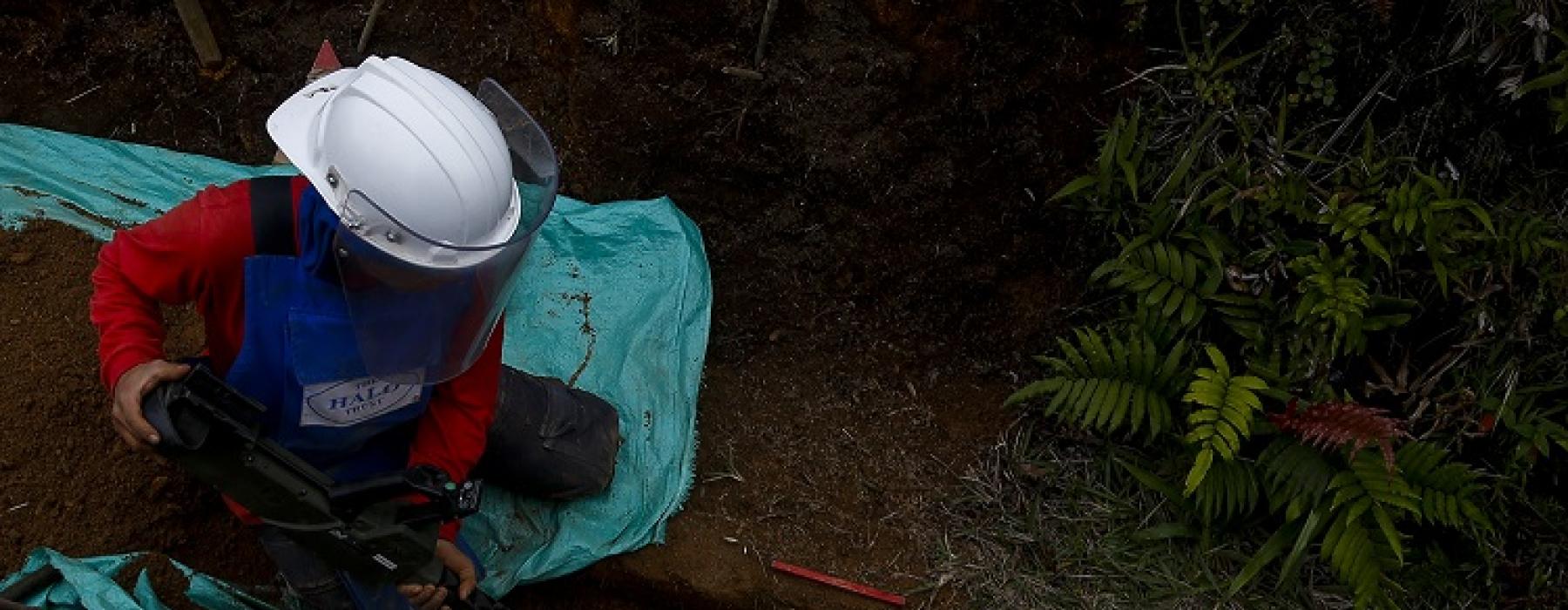 �C�MO AVANZA EL DESMINADO HUMANITARIO EN CALDAS?