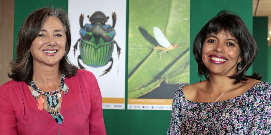 LA GUERRA CONSERV� BIODIVERSIDAD DE LA SELVA DE FLORENCIA, EN CALDAS