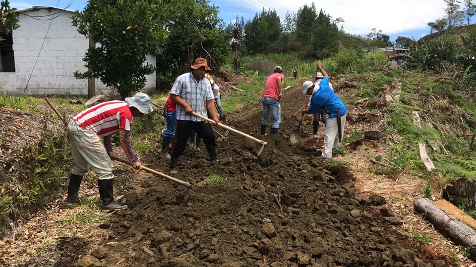 TRABAJO ARTICULADO POR LAS V�AS DE LA ESMERALDA, EL GUAYAVITO Y EL CONSUELO