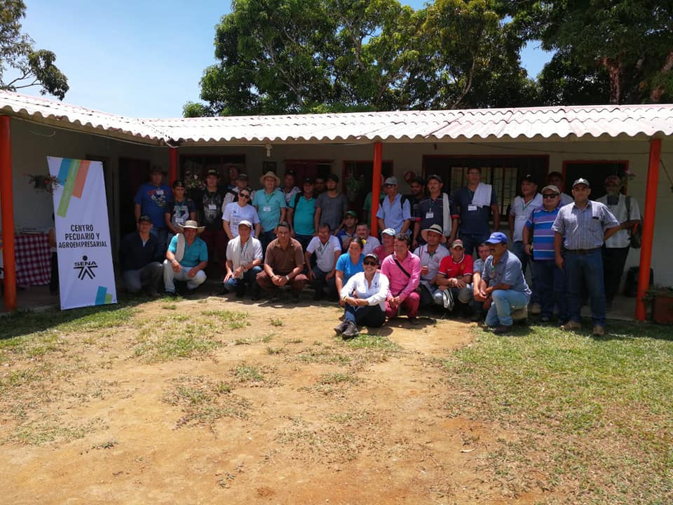 NUEVAS TECNOLOG�AS EN EL RAYADO DE CAUCHO- SAMAN� GANA.