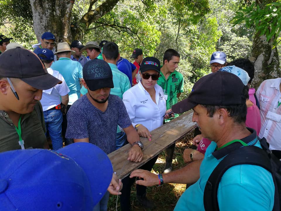 NUEVAS TECNOLOG�AS EN EL RAYADO DE CAUCHO- SAMAN� GANA.
