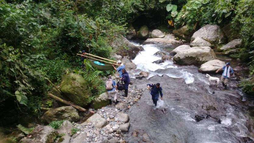 UNA MUJER DE FLORENCIA (CALDAS) MURI� POR MORDEDURA DE UNA SERPIENTE