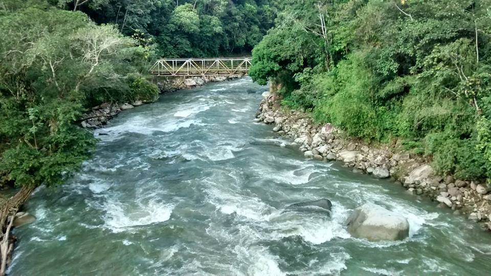 R�O LA MIEL. R�O DE VIDA Y MUERTE