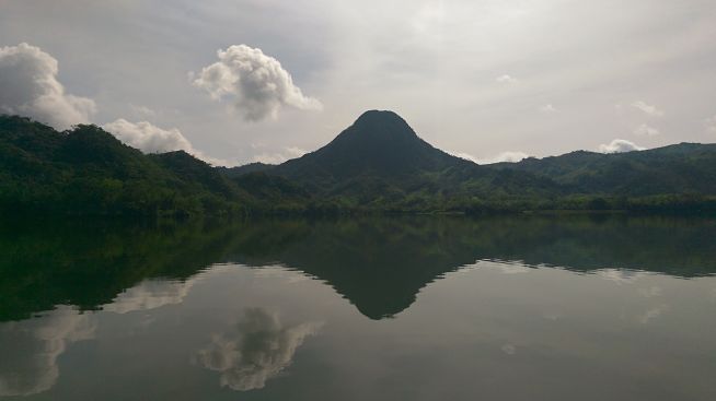 LOS HUMEDALES, ECOSISTEMAS NECESARIOS PARA LA BIODIVERSIDAD
