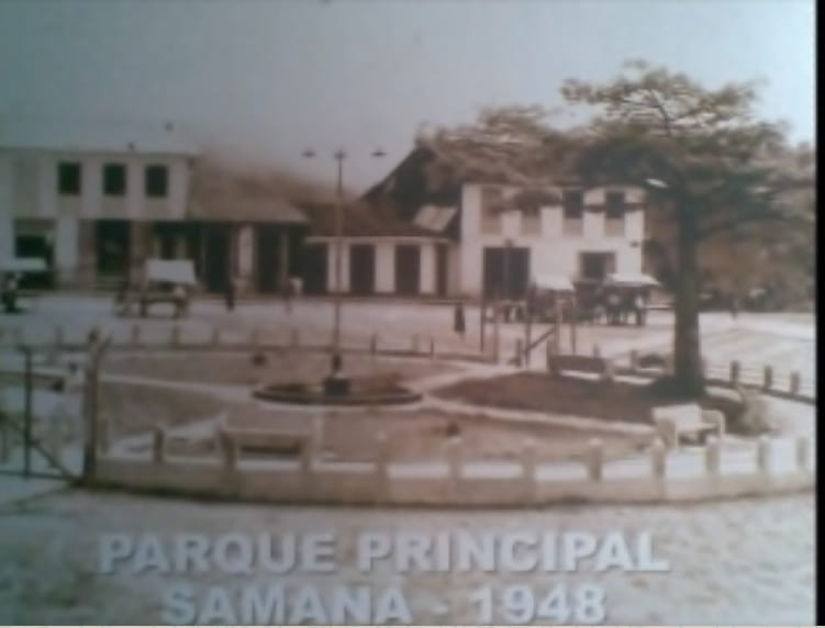 PARQUE PRINCIPAL CON SU CEIBA