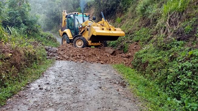 EN LOS �LTIMOS D�AS SE HAN PRESENTADO DERRUMBES EN V�AS DE CALDAS