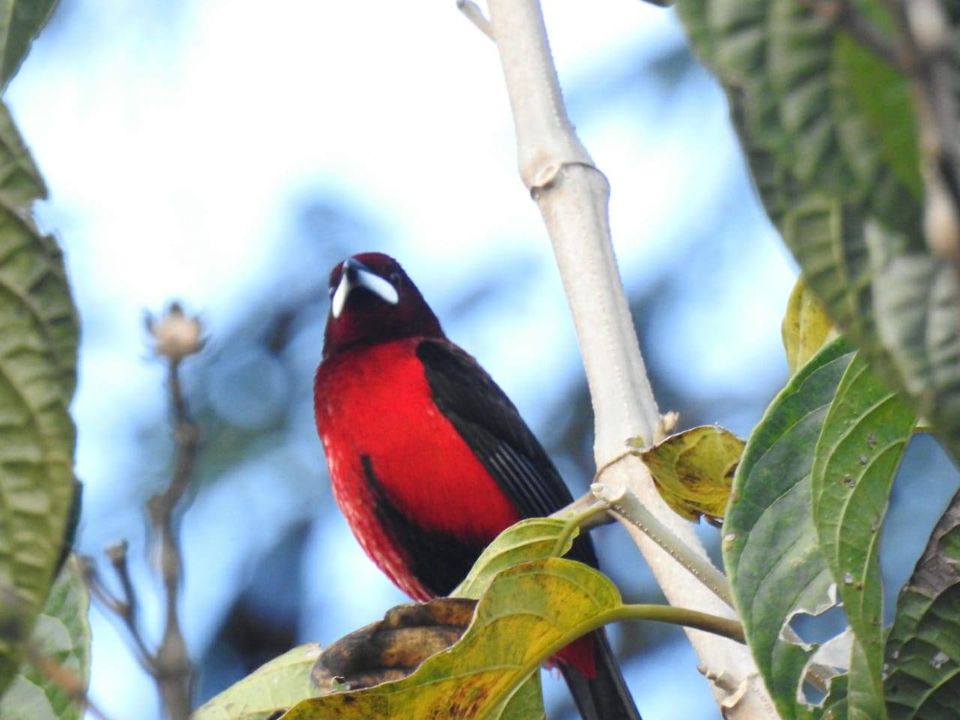 Samaná: SE FOMENTA EL TURISMO Y LA BIODIVERSIDAD DEL MUNICIPIO