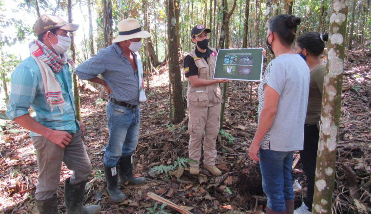 EN CALDAS RETOMAN LAS LABORES DE DESMINADO HUMANITARIO