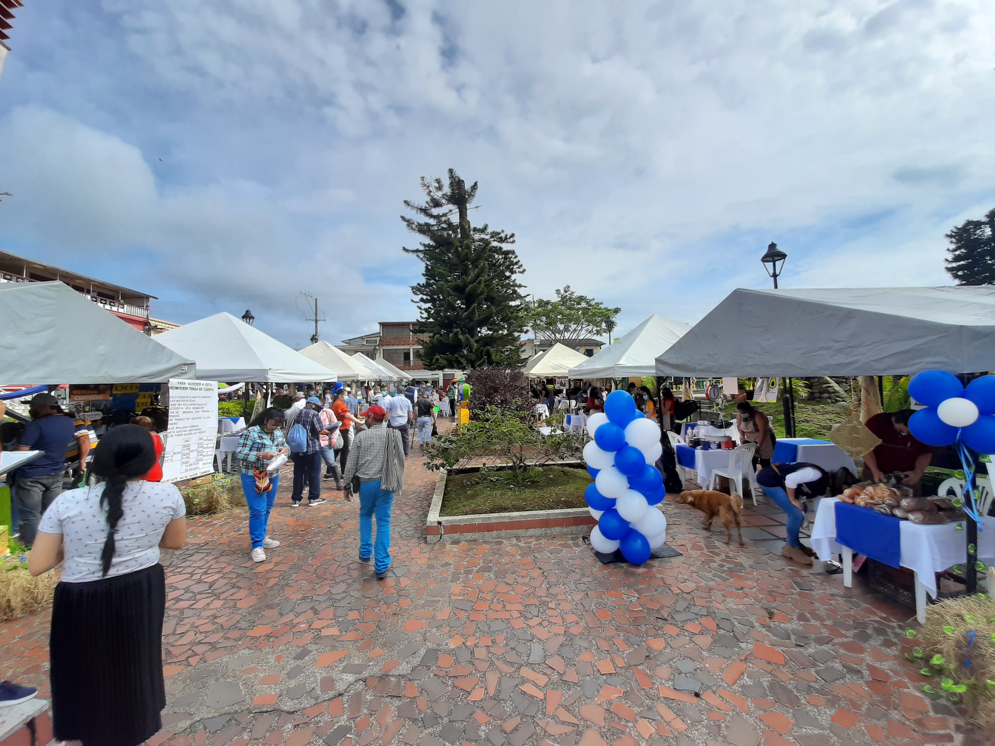 MERCADO CAMPESINO