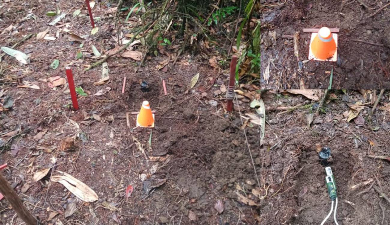 11 MINAS ANTIPERSONAL HAN SIDO DESACTIVADAS EN JULIO EN SAMAN�, CALDAS