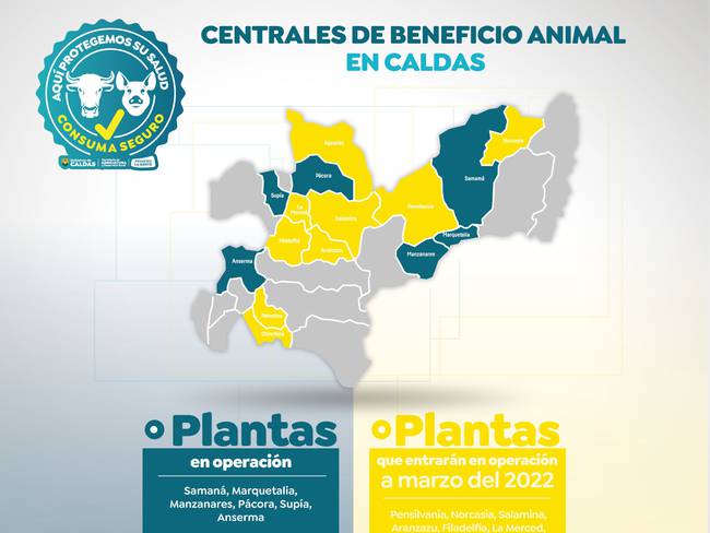 6 DE LAS 15 CENTRALES DE BENEFICIO DE CALDAS, EST�N EN FUNCIONAMIENTO