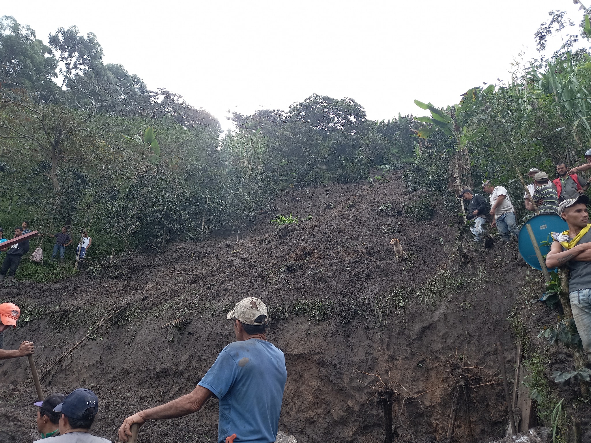 DERRUMBE VEREDA LA PARDA DE MARQUETALIA CALDAS 2 FALLECIDOS