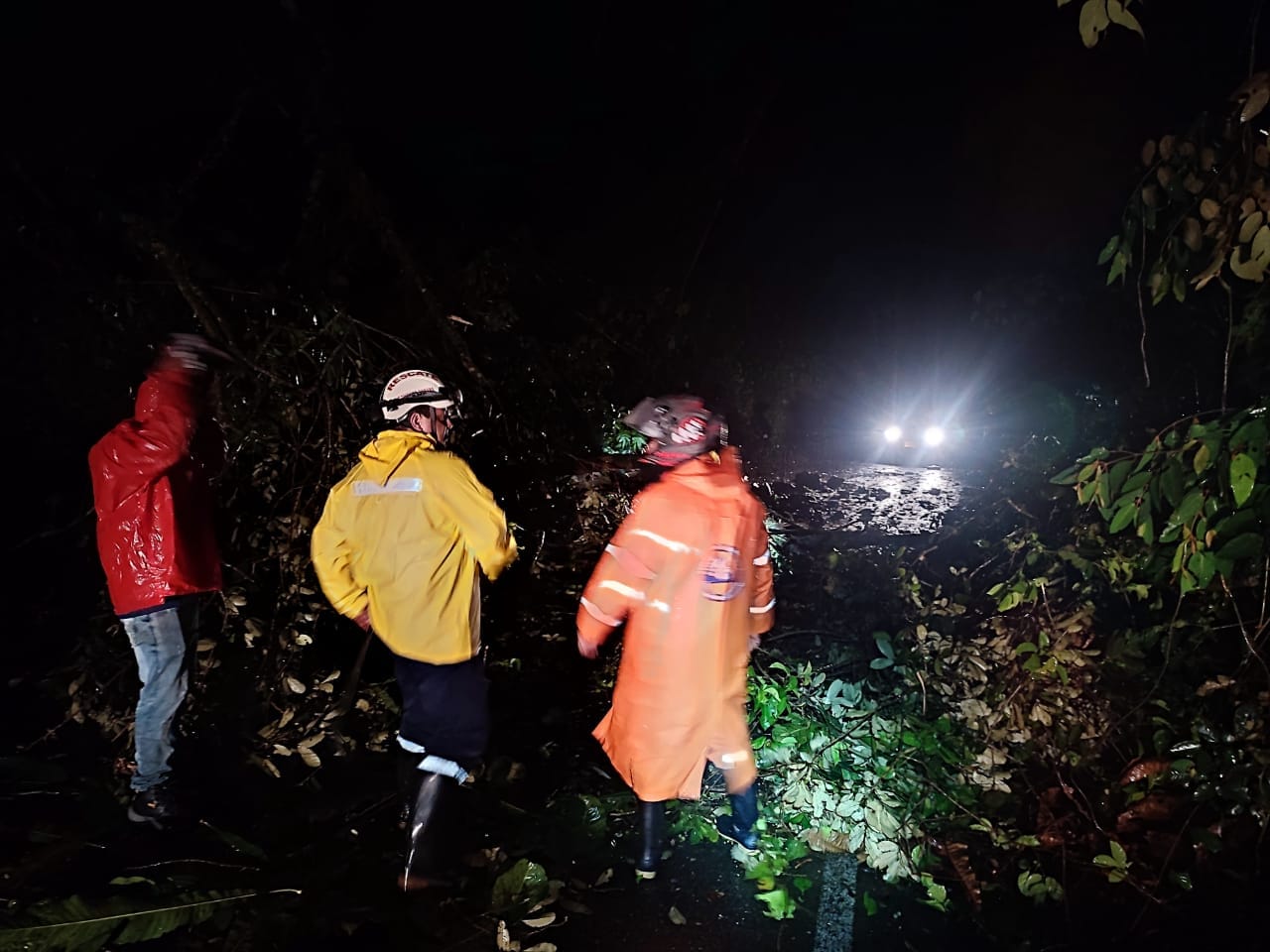 DEFENSA CIVIL Y BOMBEROS ATENDIENDO CA�DA DE �RBOLES EN V�A SAMAN�