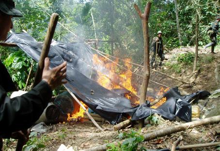 HALLARON 208 KILOS DE BASE DE COCA EN LABORATORIO DE NORCASIA 