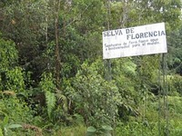 DESTRUYEN MINAS ANTIPERSONA EN PARQUE NATURAL DE FLORENCIA - CALDAS