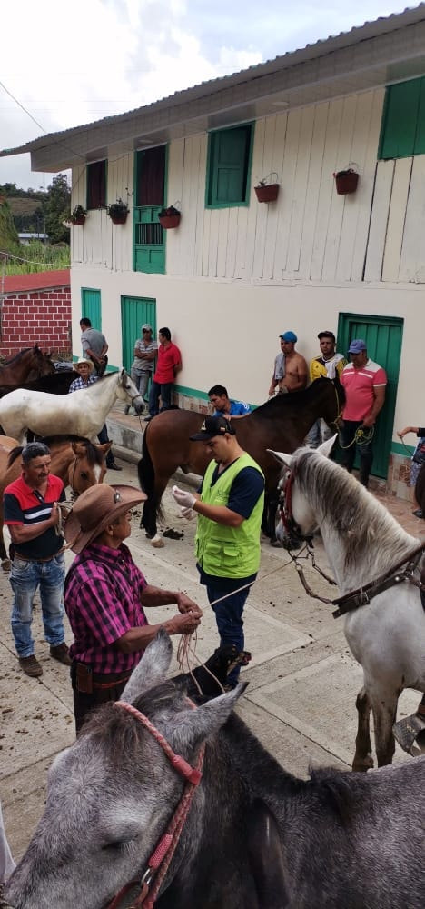 JORNADA VETERINARIA EN EL CORREGIMIENTO DE ENCIMADAS