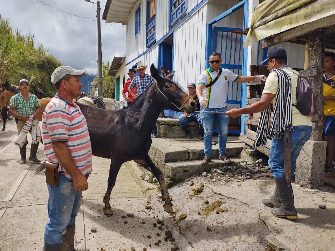 JORNADA VETERINARIA EN EL CORREGIMIENTO DE ENCIMADAS
