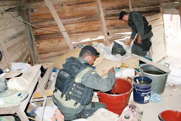 OCTAVA BRIGADA DESMANTEL� LABORATORIO DE NARC�TICOS