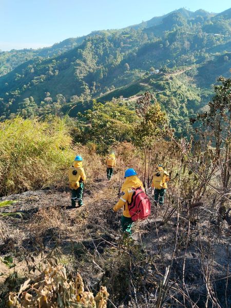 INCENDIO DE COBERTURA VEGETAL EN LA VEREDA SAN ISIDRO. 