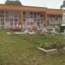 EN CEMENTERIO DE SAMAN� (CALDAS) ABRIR�N EL CAMINO POR LOS DESAPARECIDOS 
