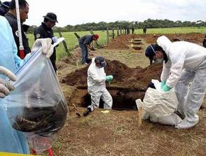 EXHUMAN RESTOS DE DIEZ V�CTIMAS EN ANTIOQUIA Y CALDAS
