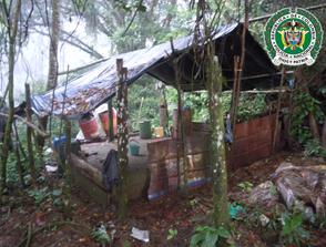 POLIC�A DESMANTELA DOS LABORATORIOS PARA EL PROCESAMIENTO DE HOJA DE COCA EN SAMAN�
