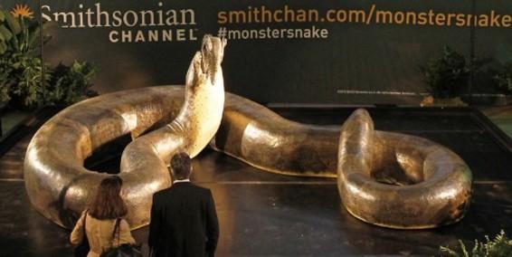 LA TITANOBOA, LA SERPIENTE M�S GRANDE, COBRAR� VIDA EN WASHINGTON