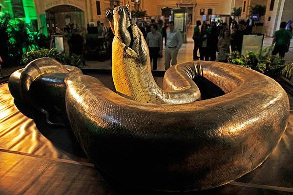 LA TITANOBOA, LA SERPIENTE M�S GRANDE, COBRAR� VIDA EN WASHINGTON