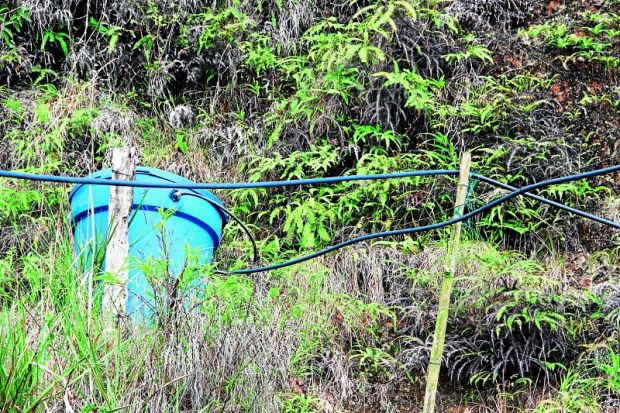 PASOS SEGUROS PARA SAMAN� (CALDAS) EN EL DESMINADO