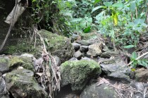 NORCASIA Y BERL�N SE UNEN POR V�AS, CASAS Y AGUA