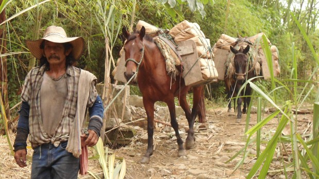 TRAPICHES: M�S LOS INDIVIDUALES, CON MEJOR SUERTE LOS COMUNITARIOS