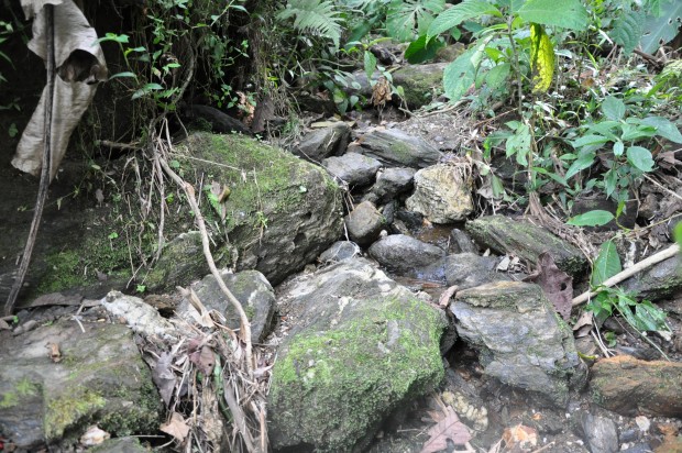 BERL�N (SAMAN�) SIGUE SU CLAMOR POR AGUA 