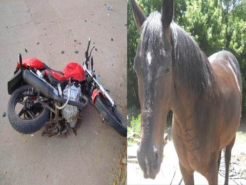 MURI� POR CHOQUE DE EQUINO CON MOTO EN SAMAN� (CALDAS)