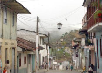 A SAMAN� POR RATOS SE LE VAN LAS LUCES