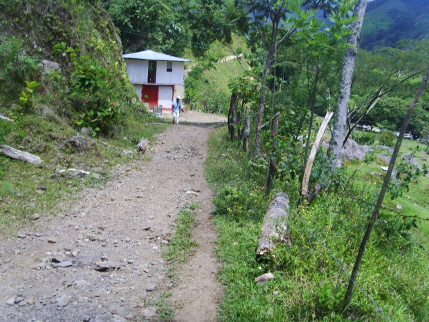 DOS NI�OS PUSIERON A CORRER A ARBOLEDA Y PUEBLO NUEVO (CALDAS)