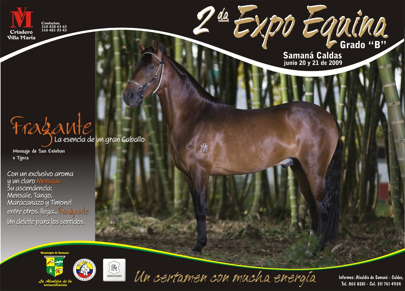II EXPOSICI�N EQUINA SAMAN� CALDAS