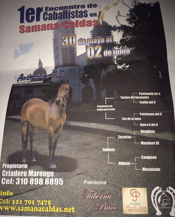 2do FESTIVAL EQUINO Y ENCUENTRO DE COLONIAS