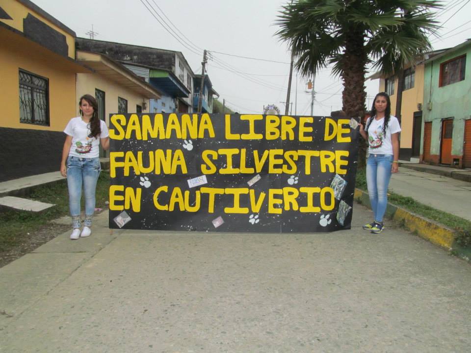 SAMAN� LIBRE DE FAUNA SILVESTRE EN CAUTIVERIO 
