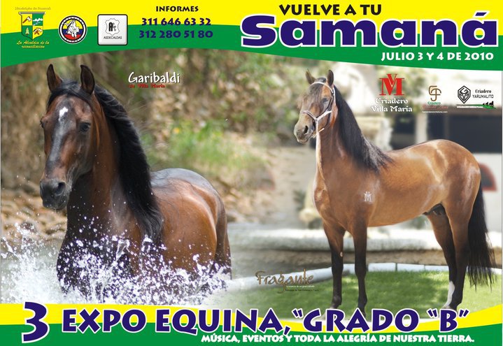 III EXPOSICI�N EQUINA GRADO B SAMAN� CALDAS