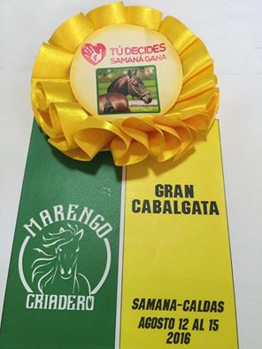 Evento: GRAN CABALGATA DE APERTURA 49 FESTIVAL DE LOS PALENQUES