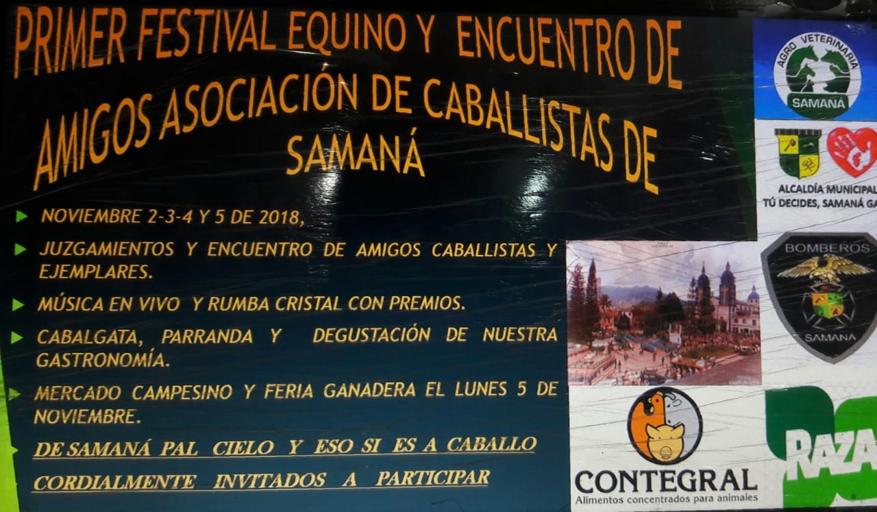 Evento: FESTIVAL EQUINO Y ENCUENTRO AMIGOS ASOCIACI�N DE CABALLISTAS DE SAMAN�