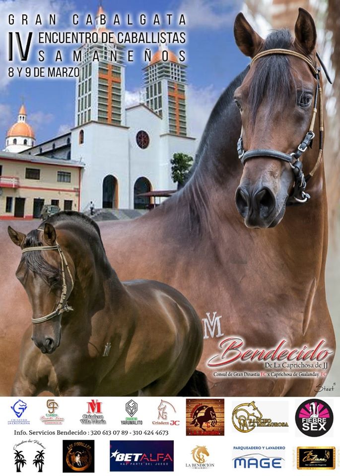 IV GRAN CABALGATA 
