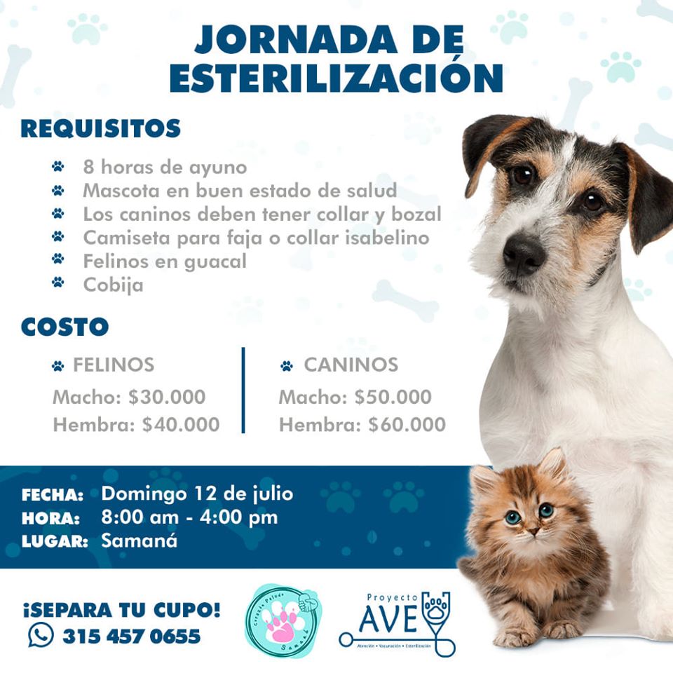 JORNADA DE ESTERILIZACI�N