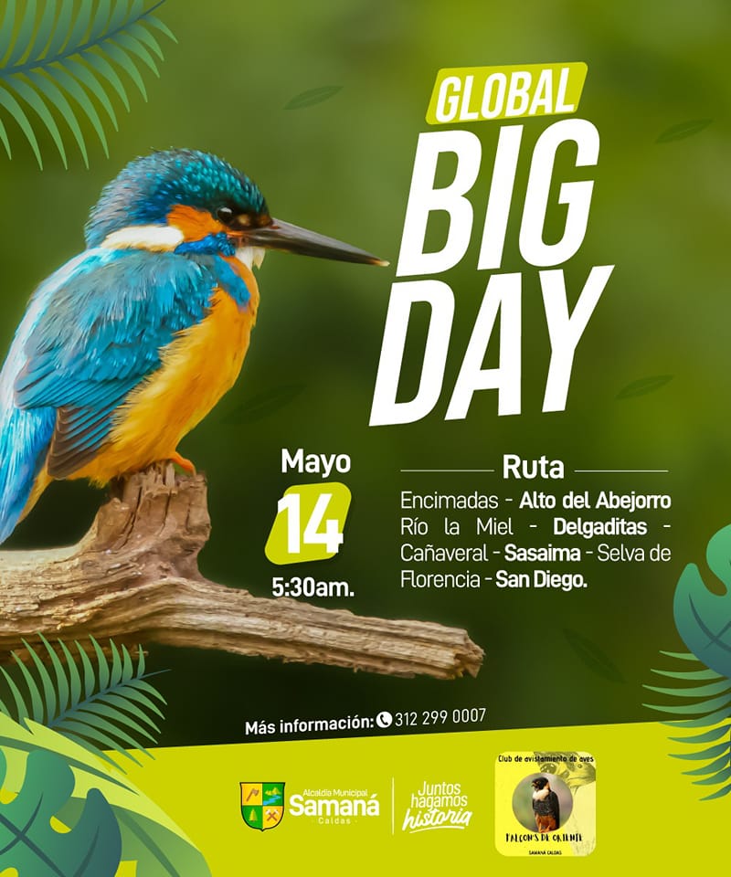 GLOBAL BIG DAY SAMAN�
